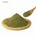 Chinese Herb Medicine Gynostemma Pentaphyllum (jiaogulan) Leave Extract Powder